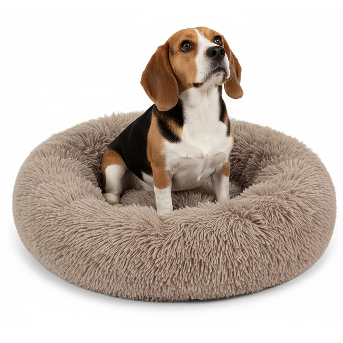 Petami Calming Dog Bed for Puppy Cat Kitten, round Washable Pet Bed, anti Anxiety Cuddler, Fluffy Plush Circular Donut Bed