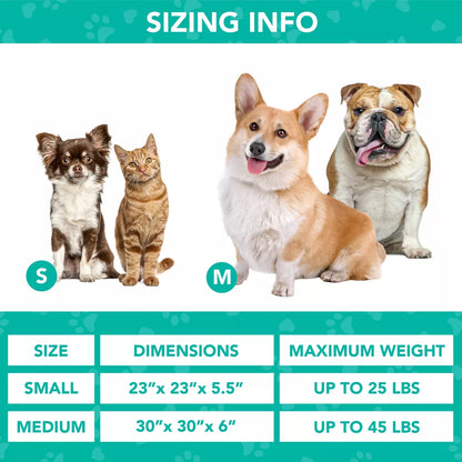 Petami Calming Dog Bed for Puppy Cat Kitten, round Washable Pet Bed, anti Anxiety Cuddler, Fluffy Plush Circular Donut Bed