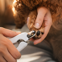 PawGlow™ Nail Clipper 🐾