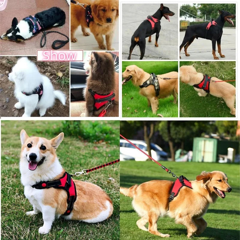 ControlPaw™ Harness 🐾