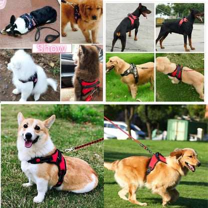 ControlPaw™ Harness 🐾