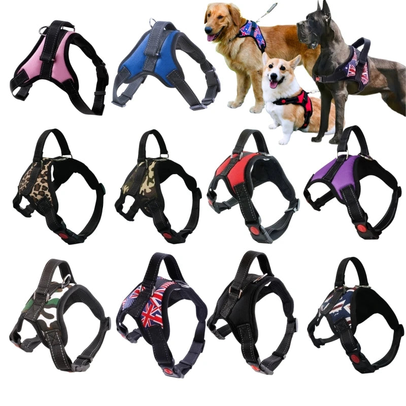 ControlPaw™ Harness 🐾