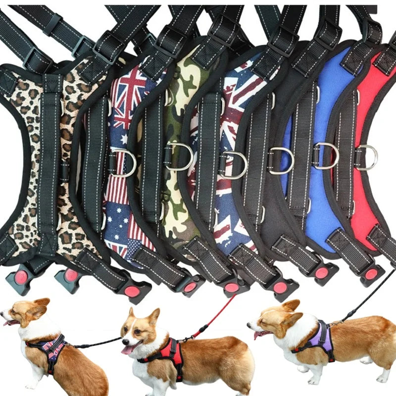 ControlPaw™ Harness 🐾