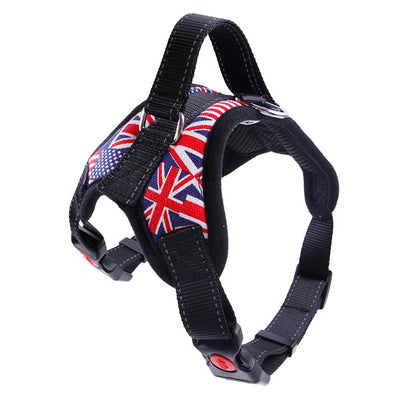 ControlPaw™ Harness 🐾