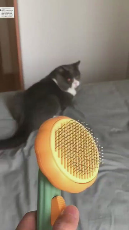 FurEase™ Brush 🐾