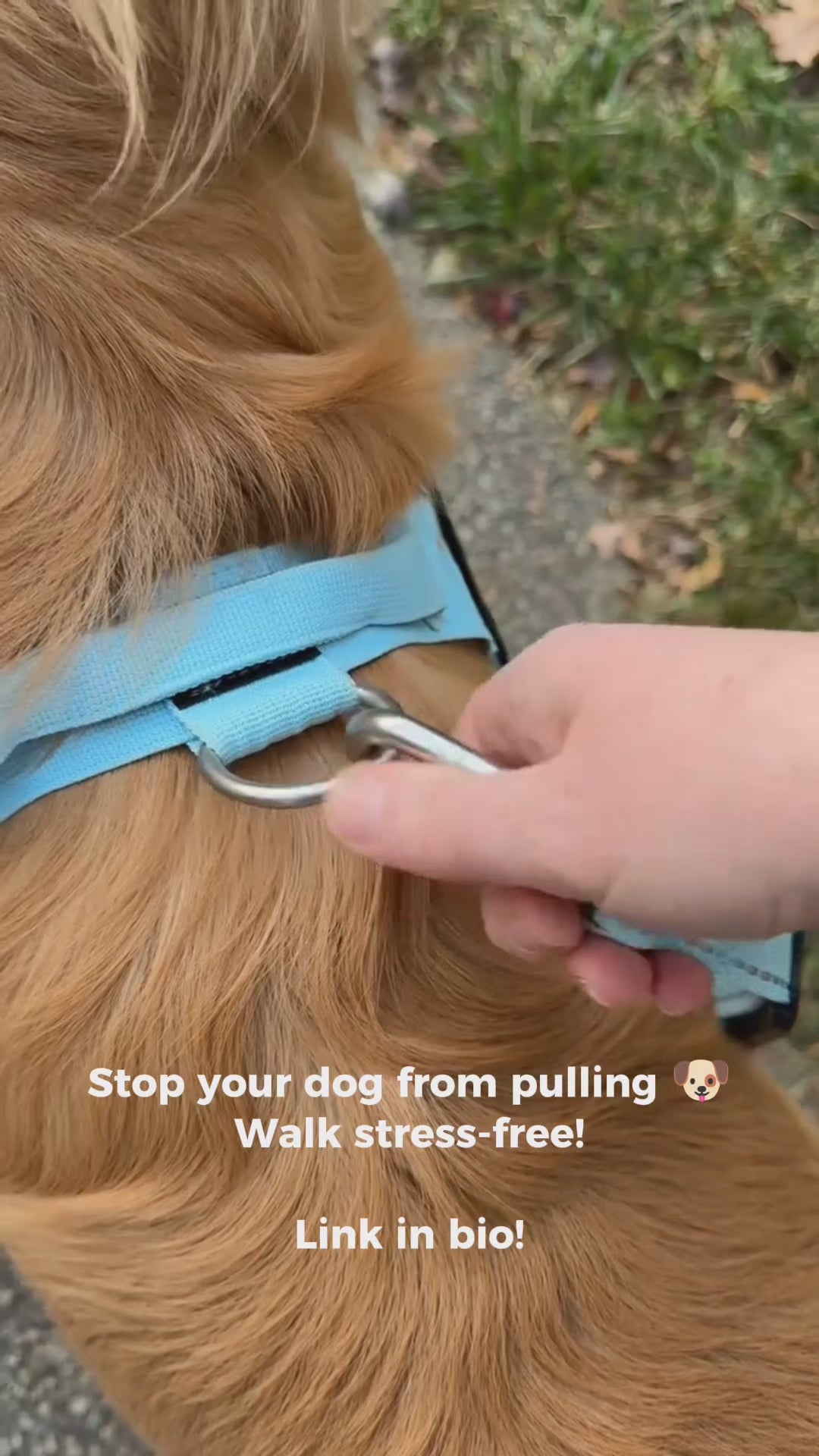 ControlPaw™ Harness 🐾